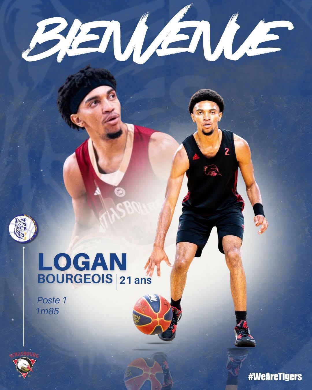 🚨UN JEUNE TALENT REJOINT LES TIGERS ! 🚨